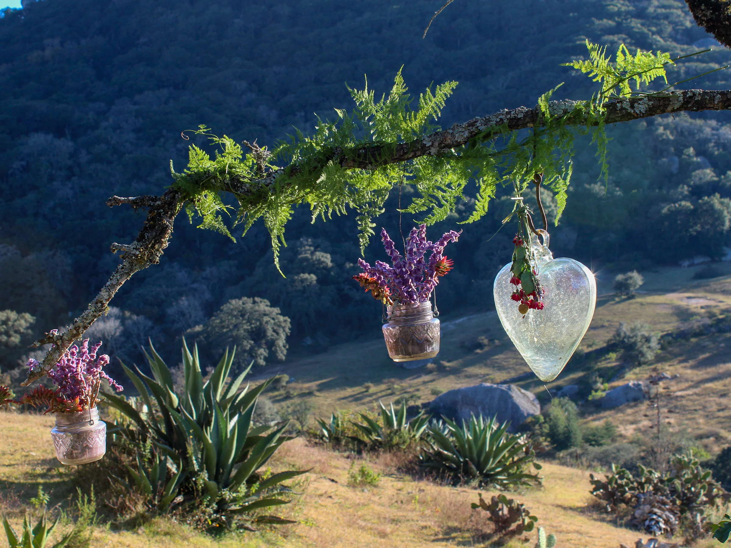 brandon portafolio imagenes 02