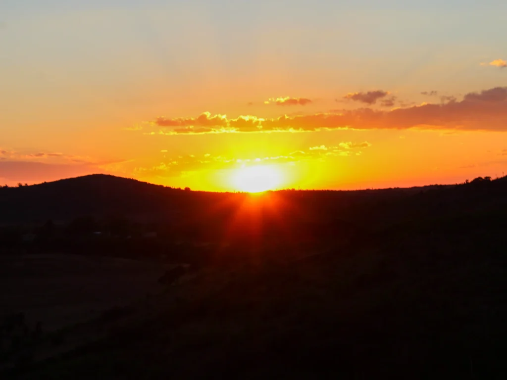 brandon portafolio imagenes 03