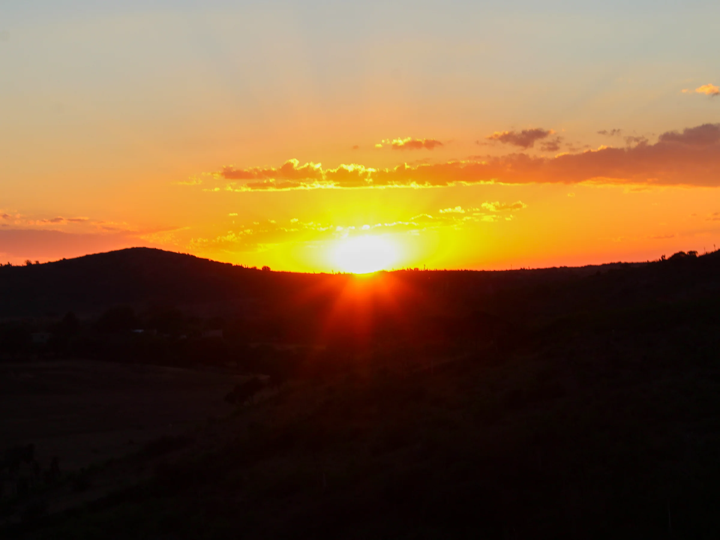 brandon portafolio imagenes 03