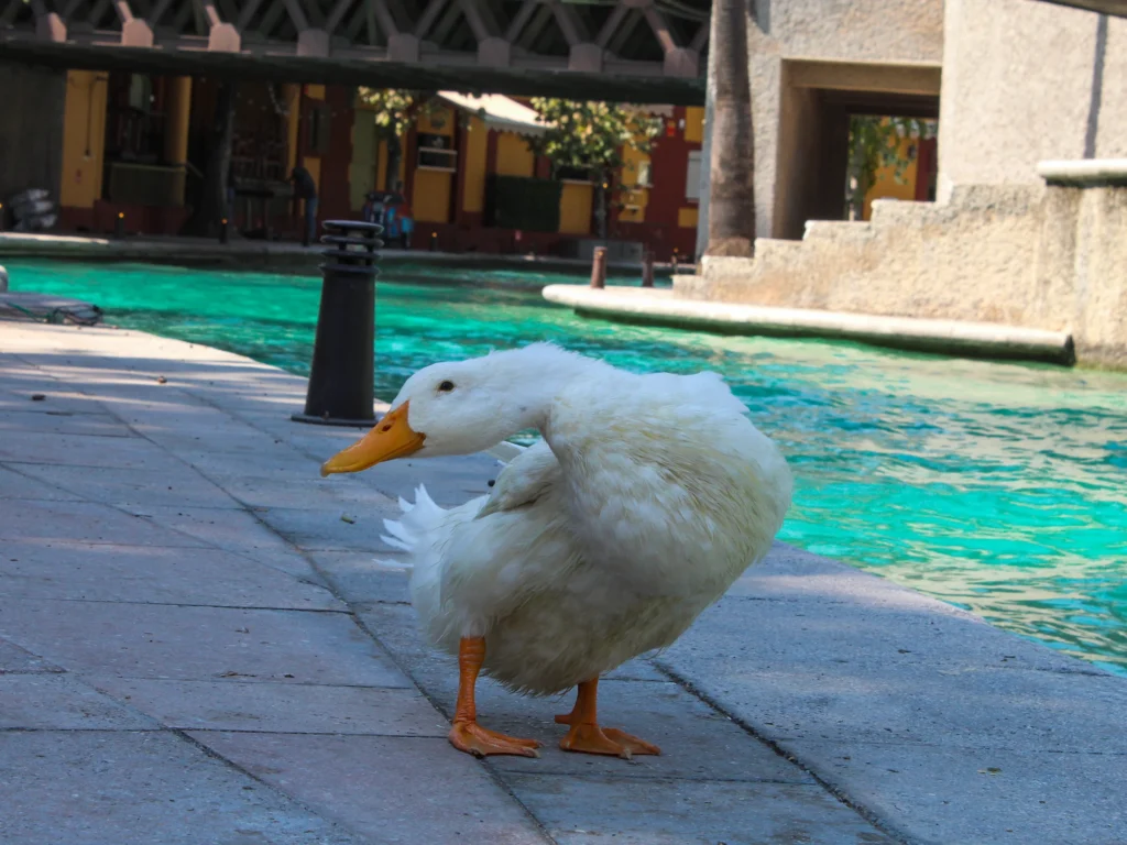 brandon portafolio imagenes 06