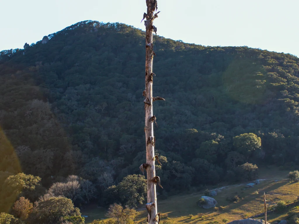 brandon portafolio imagenes 08