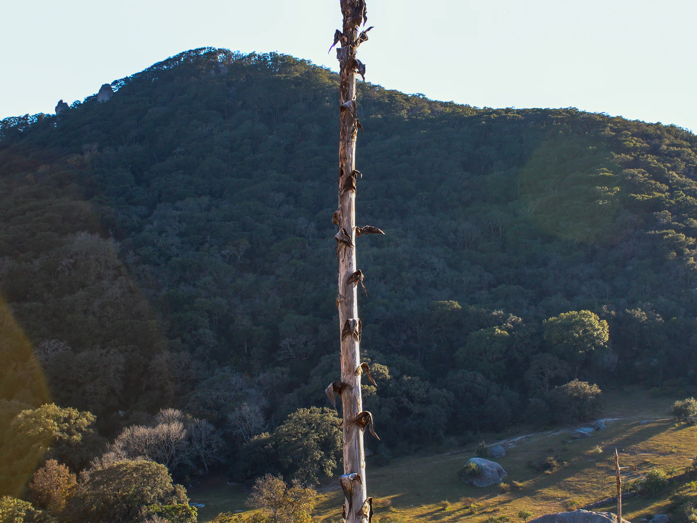 brandon portafolio imagenes 08